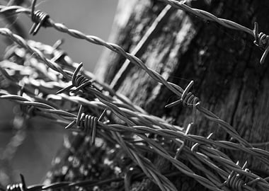 Barbed Wire Black