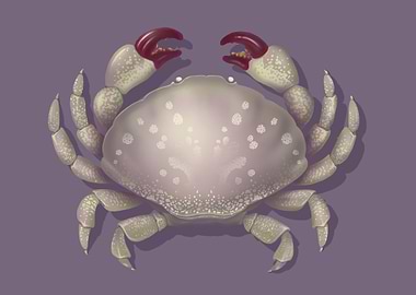 I'm a little bit obsessed with sea life, and crustacean ...