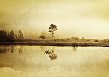 When time stood still