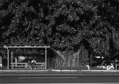 I was on my way home by bus I could capture the lonely ...