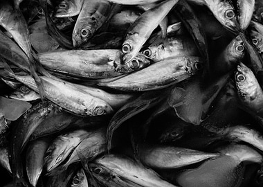 Was on my usual morning stroll with my camera when I sa ...