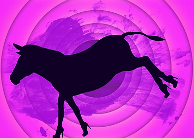 Who Says Donkeys Don't Need Shoes? Funny Conceptual Art ...