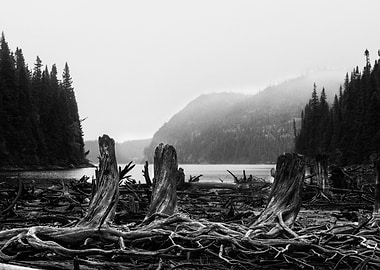 rainy day north of quebec