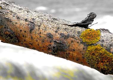 Title: 'flotsam and jetsam no.2'. Conceptual Photograph ...