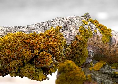 Title: 'flotsam and jetsam no.8'. Conceptual Photograph ...