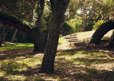 Old steps leading up a pathway, Ft Matanzas National Mo ...