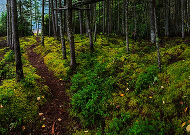 little trip in north quebec