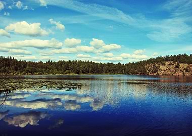 Reflection Of Nature