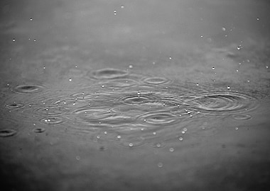 One could almost hear the soud of the water drops and t ...