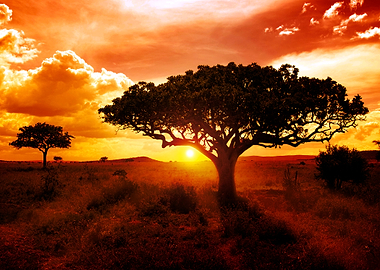Sunset in Africa