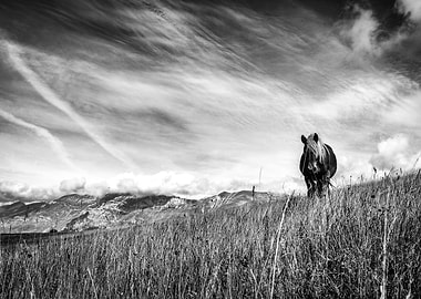 Breathtaking project, 2013. Models: Anja Rossi. Fashion ...