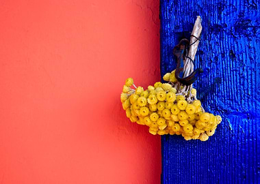 Bouquet on Blue Shutters, Crete, Greece