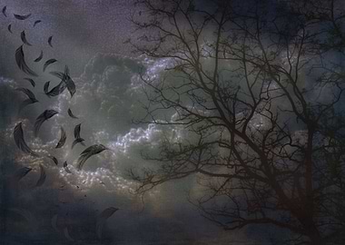 Quiet After the Storm