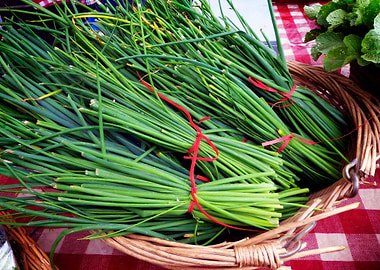 Fresh Chives