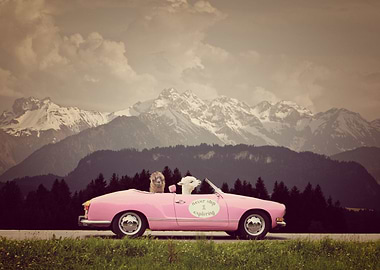 NEVER STOP EXPLORING THE MOUNTAINS