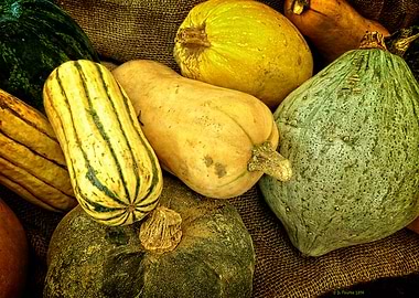 Squash Medley