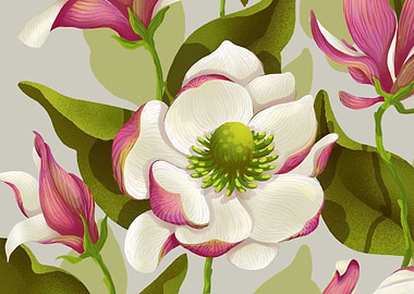 Magnolia Bloom - daytime version