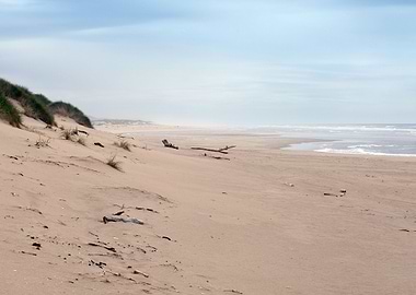 Whispering Wonderland