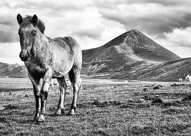 Breathtaking project, 2013. Models: Anja Rossi. Fashion ...