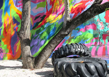 Wynwood Art District