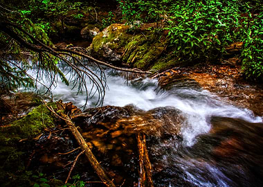 A Place on Tyndall Creek