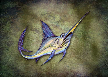 Sammy the swordfish - catch of the day or not?