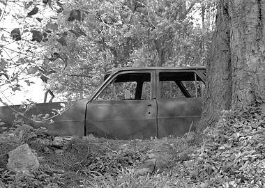 Once a stately Holden HR station wagon. Now in a state ...