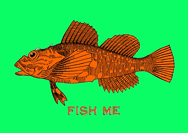 orange fish and 'Fish me' for the typo