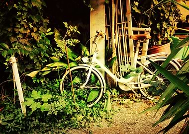 old bike