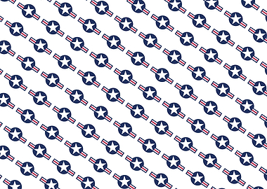 Roundel of the United States Air Force and aircraft ope ...