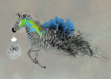 Give him wings and set him free