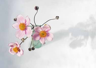Japanese Anenomes in Green Glass Vase