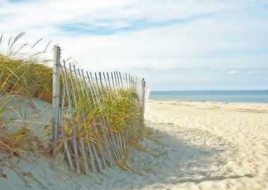 Sandy Neck Beach, Cape Cod, Massachusetts