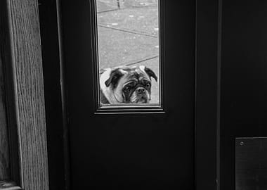 I took this picture in a chelsea (nyc) italian bar, thi ...