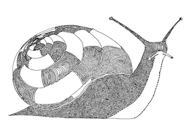 Snail, One Liner The line starts in the center of the ...