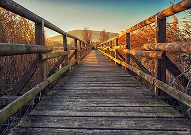 Wood bridge on lake