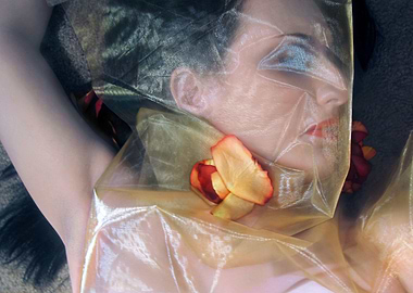 The Emotional Snag - Self