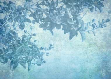 Blue Branch on a Misty Mor