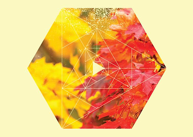 Perfect Nature and Geometry