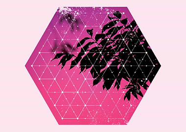 Perfect Nature and Geometry