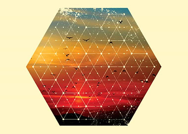 Perfect Nature and Geometry