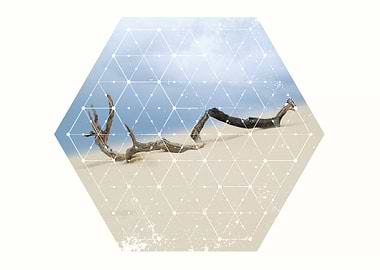 Perfect Nature and Geometry