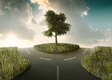 Choose your direction