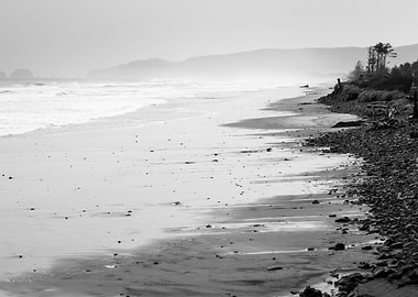Cape Lookout - Oregon Coast