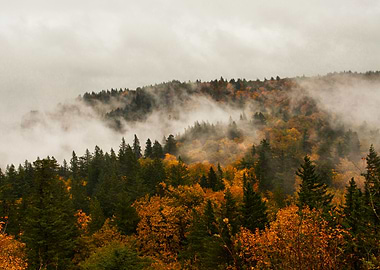 Autumn in the Columbia River Gorge