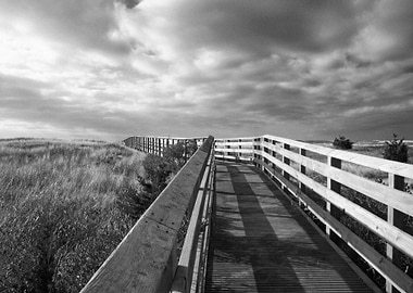 Black and White Boardwalk at South Cape Beach