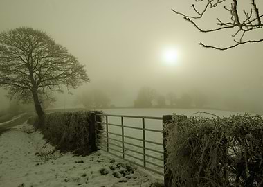 Winter fog