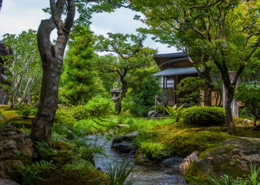 Tenryujis Garden