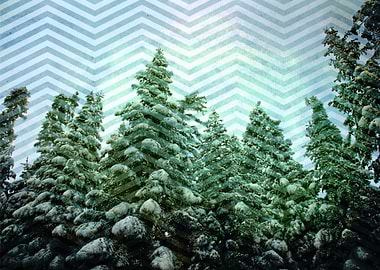 Snowy Chevron