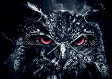 Dark owl (bruised but not beaten )